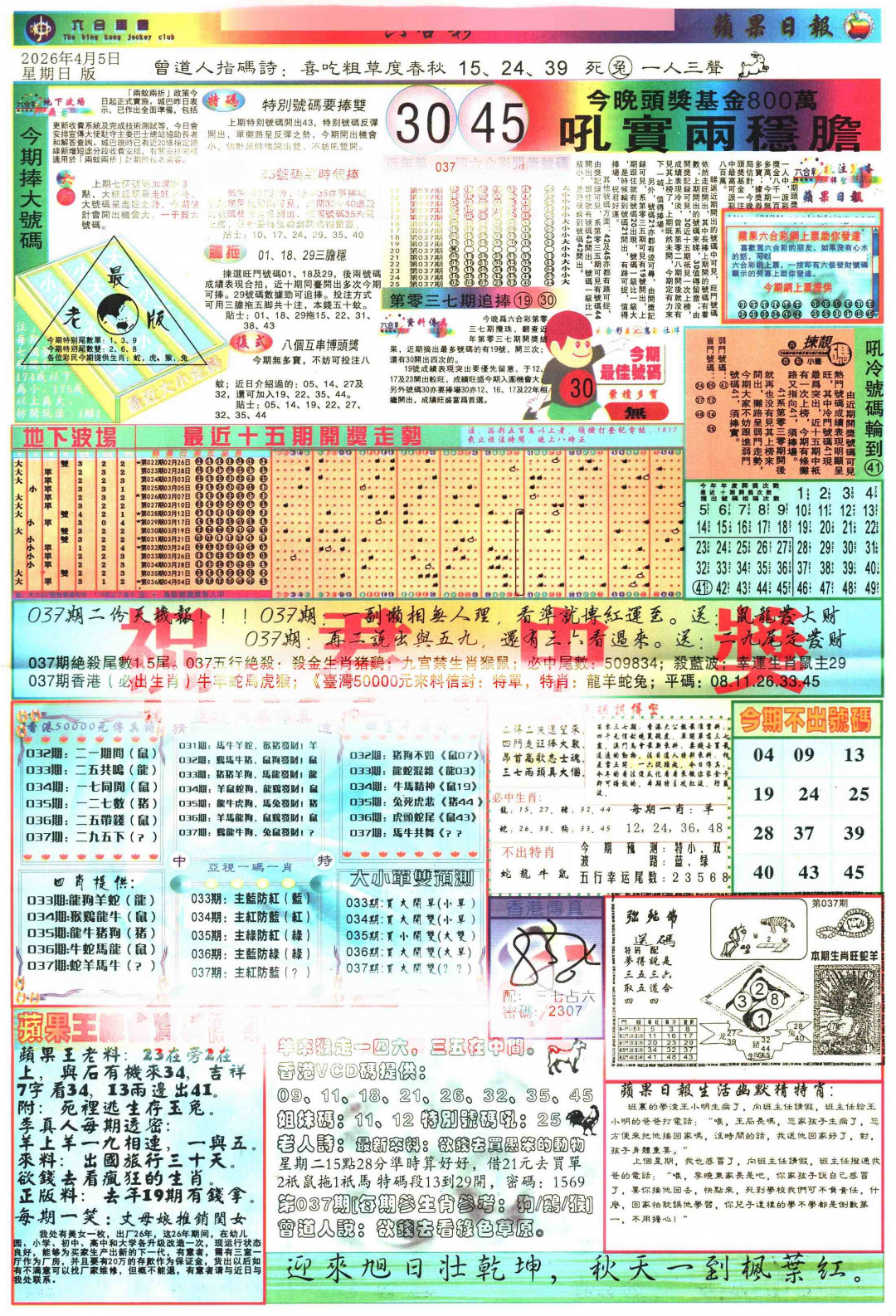 037期苹果日报[图]