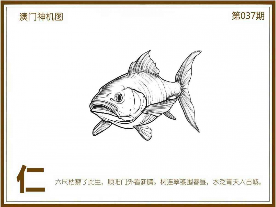 037期澳门神机图[图]